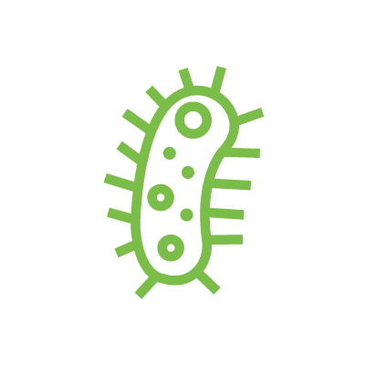 Infecciones, cálculos, HPB, disfunción eréctil