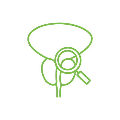 Cribado de cáncer de próstata